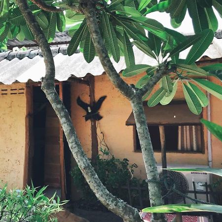 Tiddin Resort Chiang Mai Exterior photo